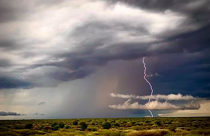 THE CENTRAL KALAHARI GAME RESERVE 