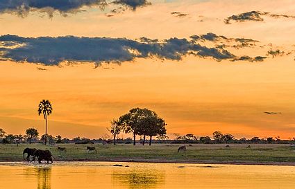 CHOBE NATIONAL PARK & SAVUTI 