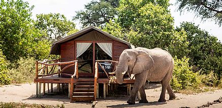 Botswana Chobe Savuti Tuli