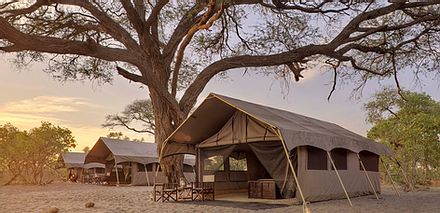 Accommodation Muchenje Safari Lodge Botswana
