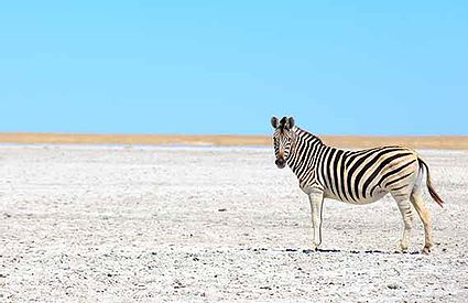 THE MAKGADIKGADI PAN, A SALT PAN SITUATED IN THE MIDDLE OF THE DRY SAVANNA