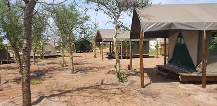 Accommodation Makumutu Safari Lodge Botswana