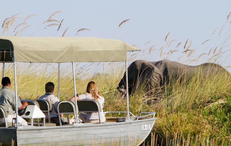 Okavango Delta Horse Safari accommodation Botswana