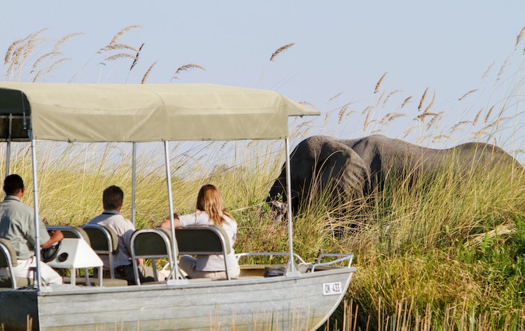 Okavango Delta Horse Safari accommodation Botswana