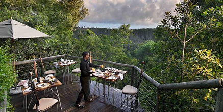 Accommodation Tsala Treetop Garden Route South Africa