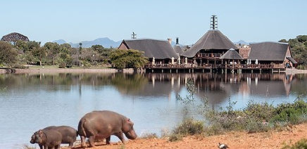 Accommodation Buffelsdrift Game Lodge Garden Route South Africa