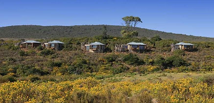 Accommodation Gondwana Game Reserve Garden Route South Africa