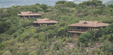 Port Elizabeth kariega Game Reserve