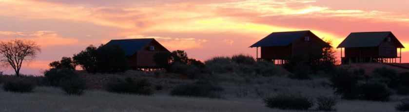 Bagatelle Kalahari Game Ranch