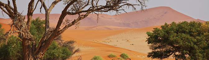 Sossusvlei Salt Pan Namibia