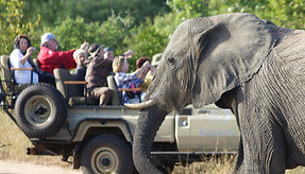 Professional Guides & Trackers in Southern Africa