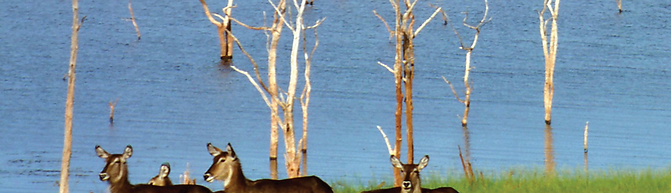 Lake Kariba Zimbabwe