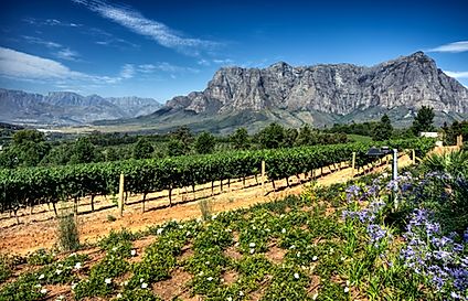 WINELANDS & WESTERN CAPE : STELLENBOSH - FRANSCHHOEK - WELLINGTON