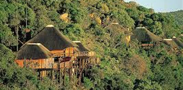 Entabeni Safari Conservancy South Africa