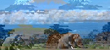 Safari Tours Tanzania