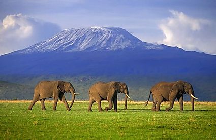 Tailor Made Safaris Tanzania