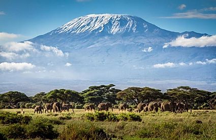 Mt Kilimanjaro Tanzania