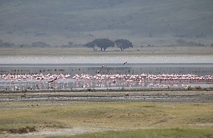 Tanzania: NGORONGORO CRATER