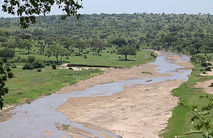 Tanzania: TARANGIRE NATIONAL PARK