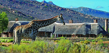 Aquila Private Game Reserve South Africa