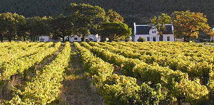 Winelands of the Western Cape SA