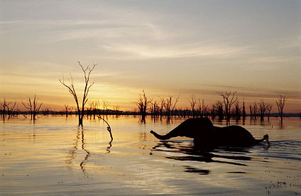 Lake Kariba Zimbabwe